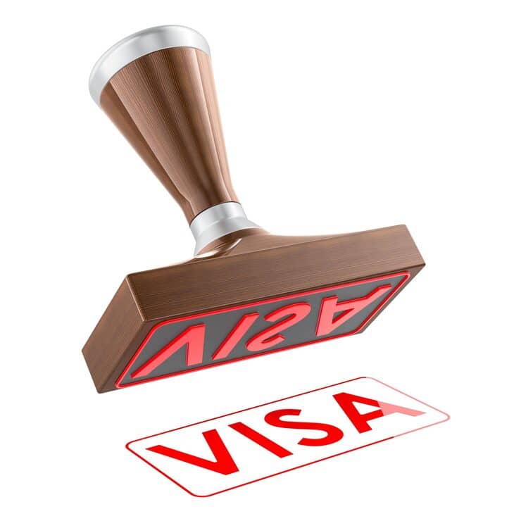 Assistance Visa — illustration 1